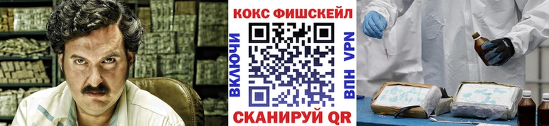 Cocaine FishScale  наркотики  Приволжский 