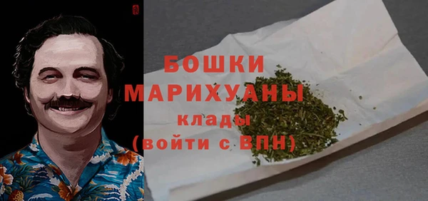 крисы Краснослободск