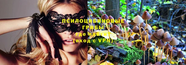крисы Краснослободск