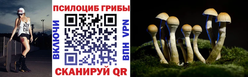 Галлюциногенные грибы GOLDEN TEACHER  где купить наркоту  Приволжский 
